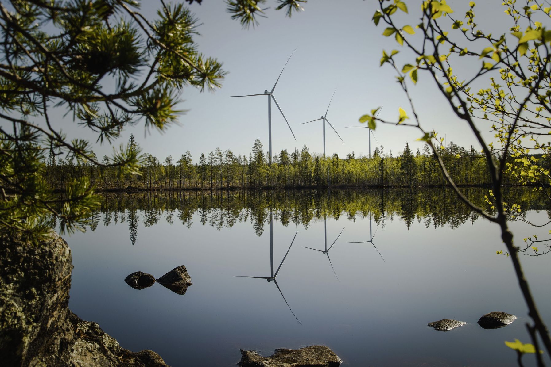 Peaceful lake with wind farm in the back